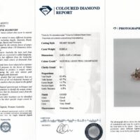 Argyle Origin Pink Champagne Diamond - Image 2